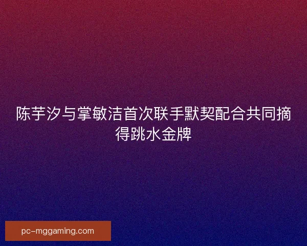陈芋汐与掌敏洁首次联手默契配合共同摘得跳水金牌